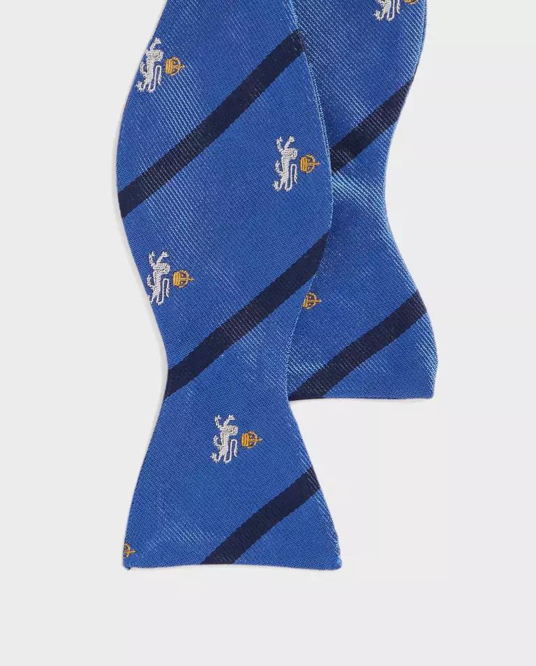 Niebieska muszka we wzór