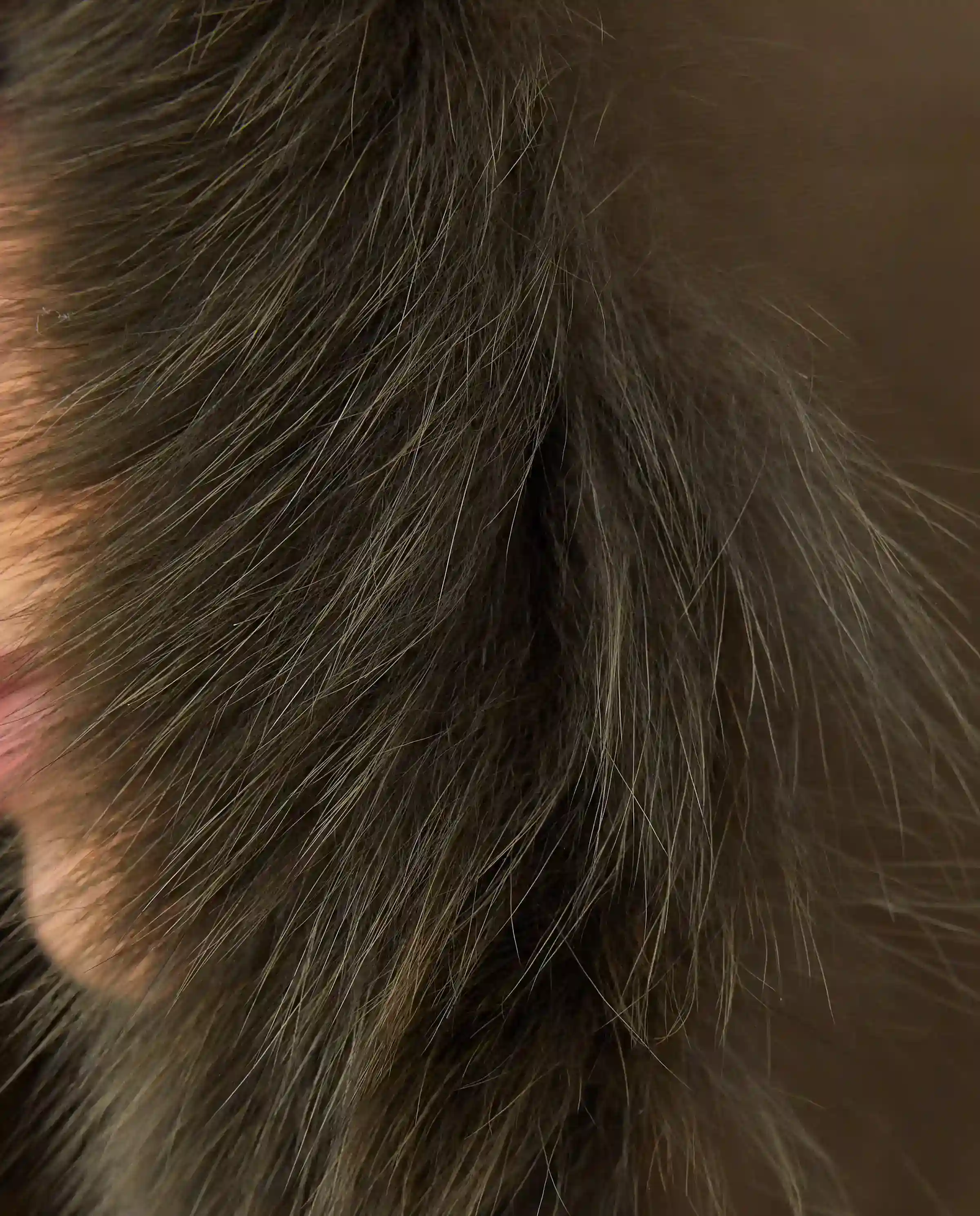 Beżowa czapka uszatka - Image #4