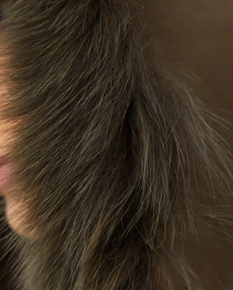 Beżowa czapka uszatka - Image #4