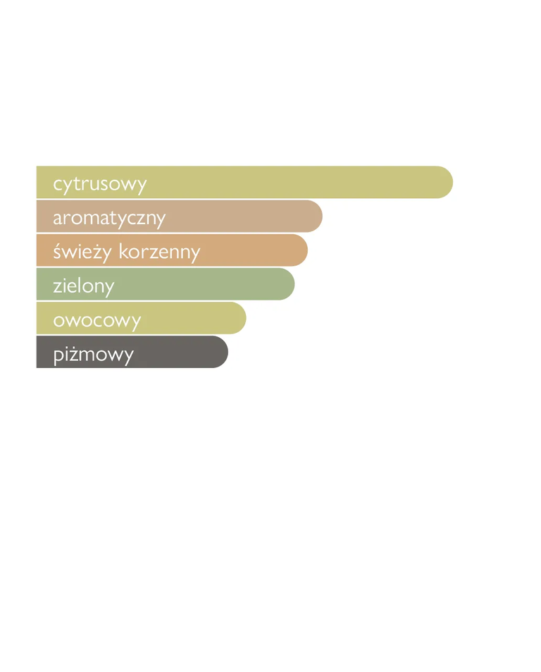 Woda perfumowana Vision 100 ml - Image #3