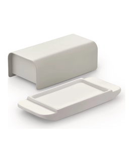 Jasnoszara maselniczka - Image #3