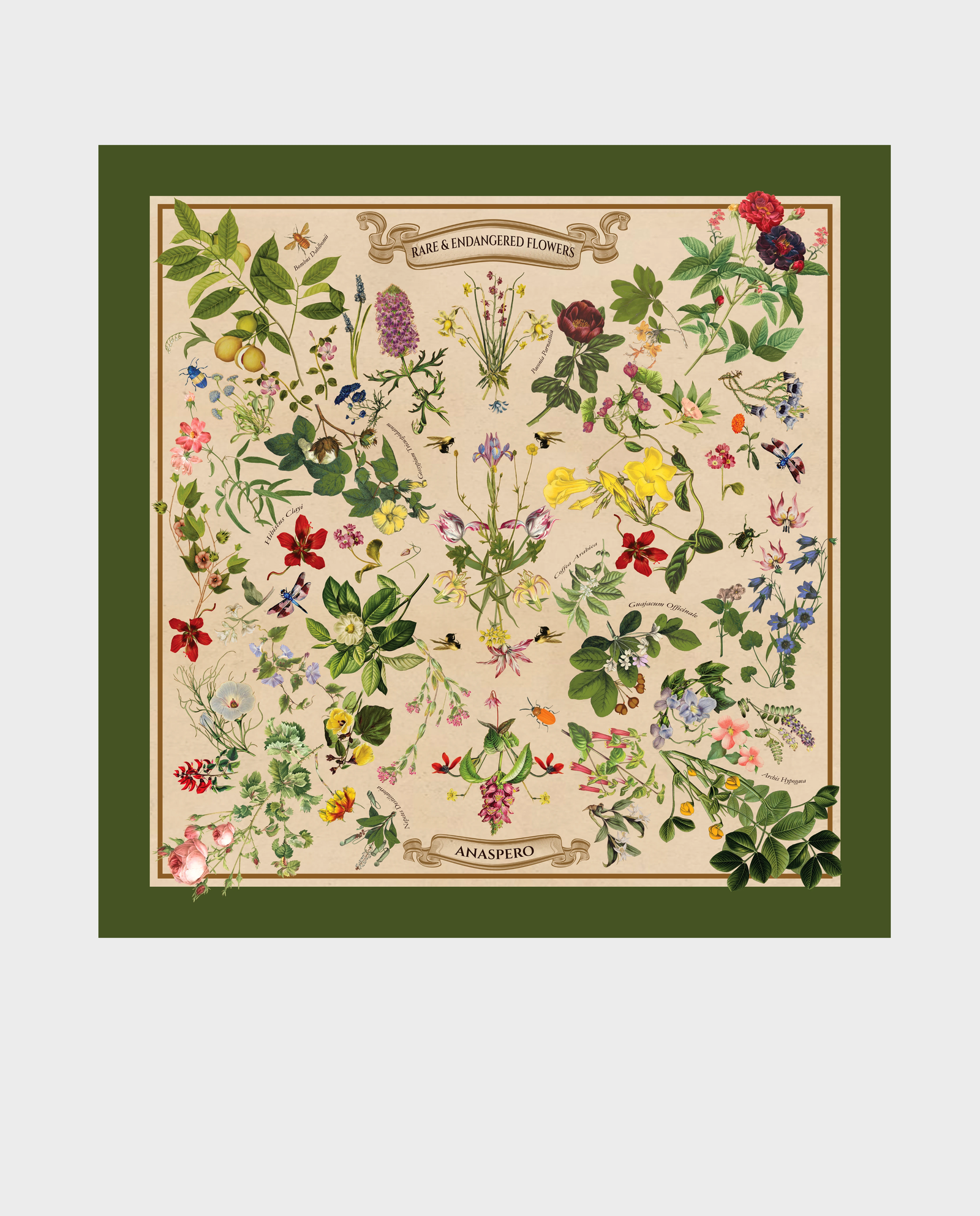 Jedwabna apaszka Botanic Green - Image #0