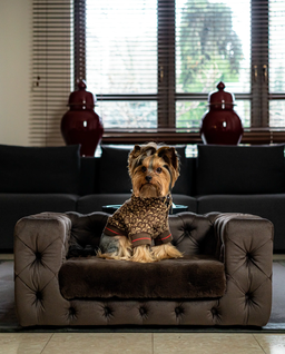 Brązowa sofa dla psa Glamour Soft - Image #4