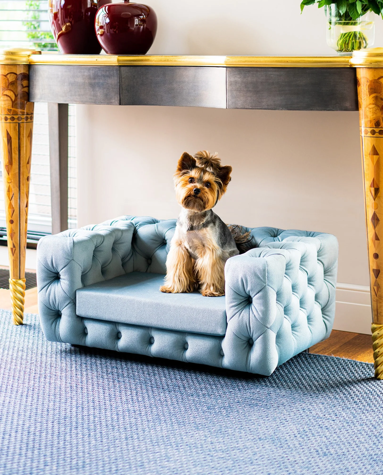 Niebieska sofa dla psa Glamour
