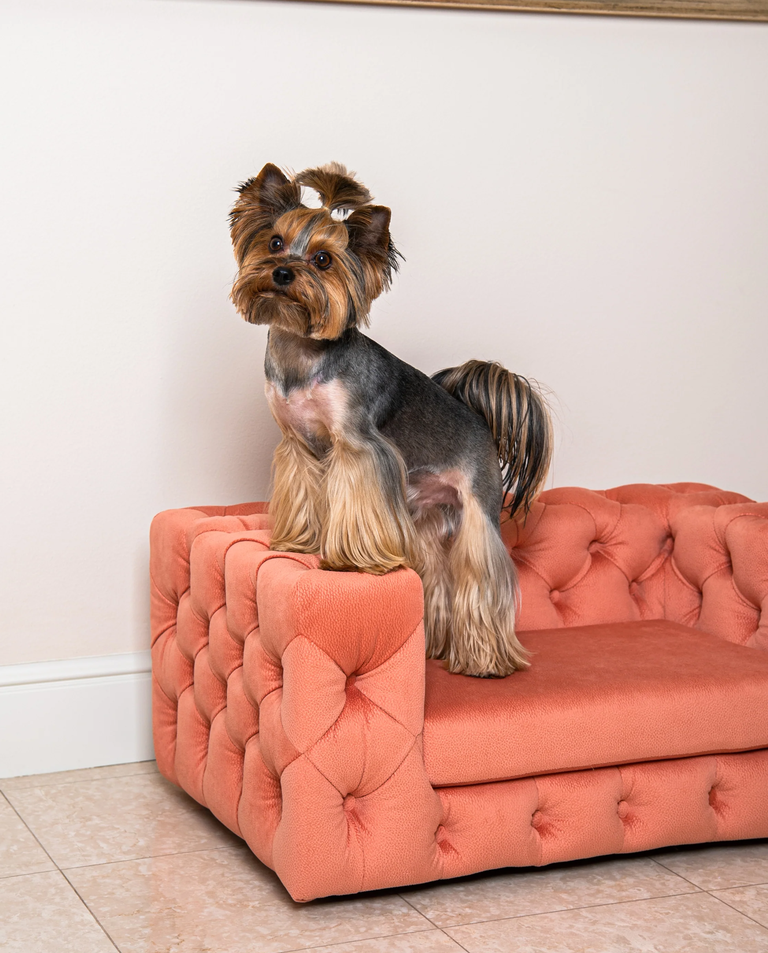 Różowa sofa dla psa Glamour - Image #2