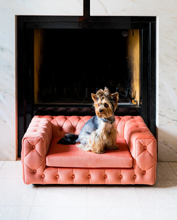 Różowa sofa dla psa Royal - Image #1