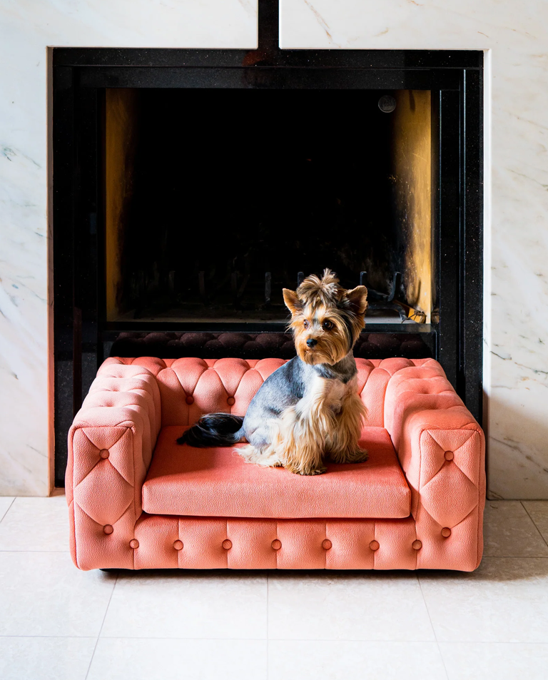 Różowa sofa dla psa Royal