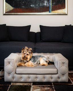 Beżowa sofa dla psa Royal - Image #1