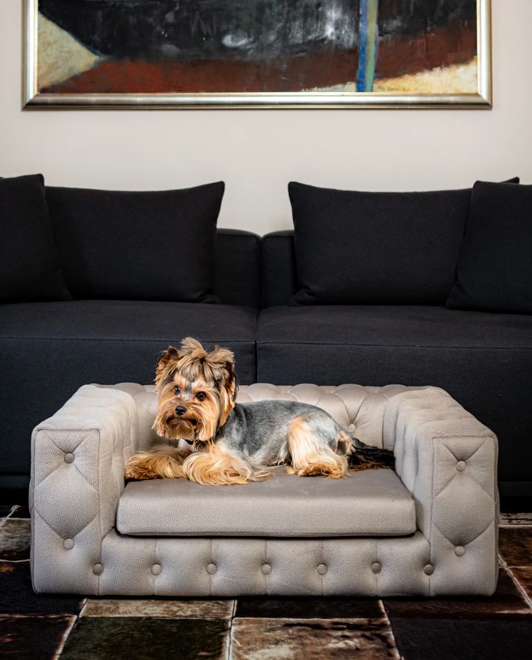 Beżowa sofa dla psa Royal