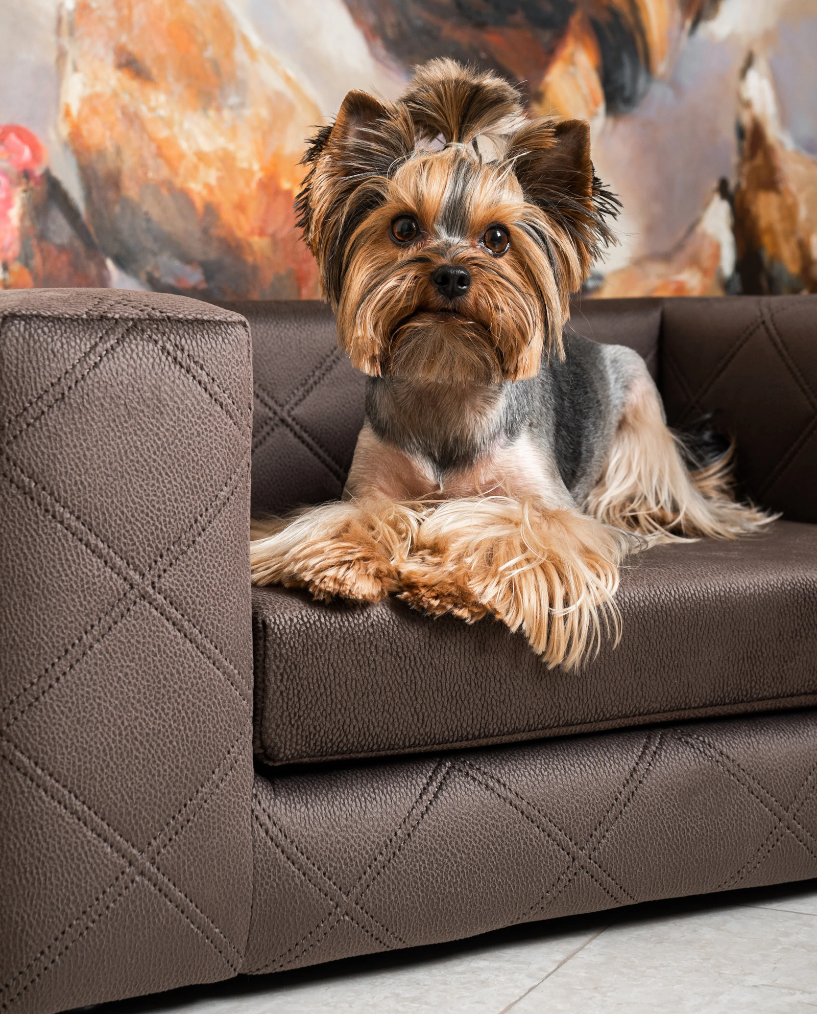 Brązowa sofa dla psa Mystique - Image #2