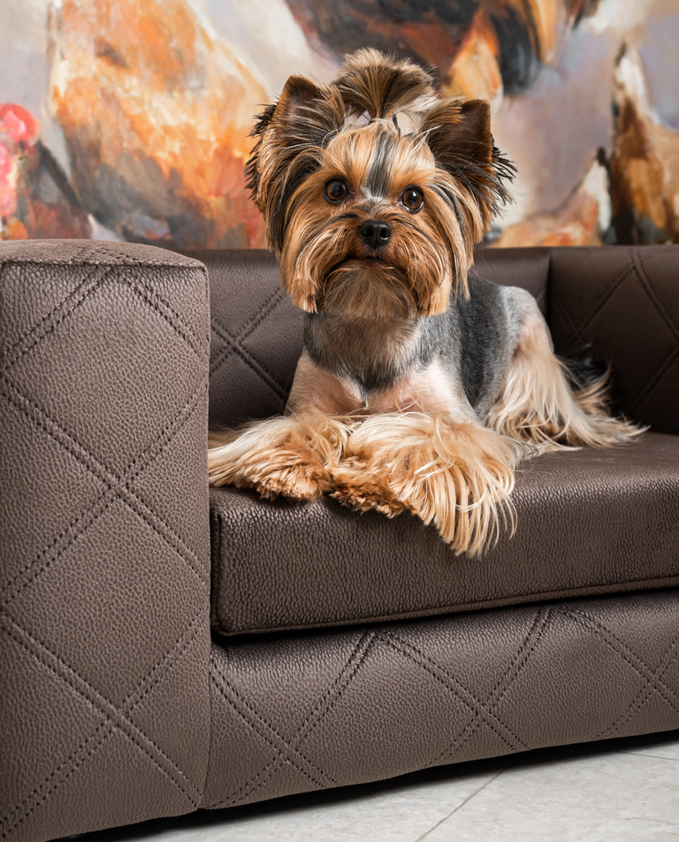 Brązowa sofa dla psa Mystique - Image #2