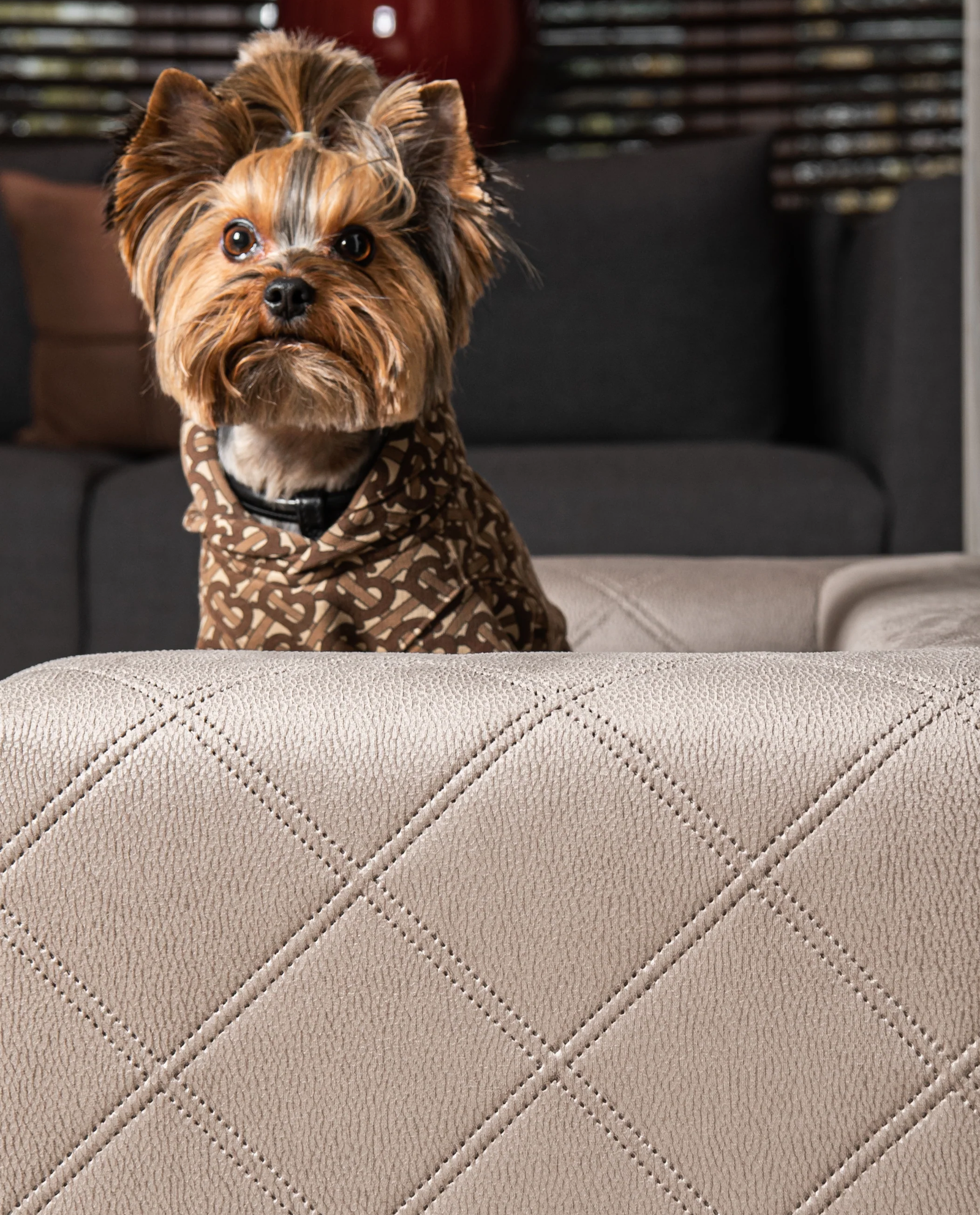 Beżowa sofa dla psa Mystique - Image #2